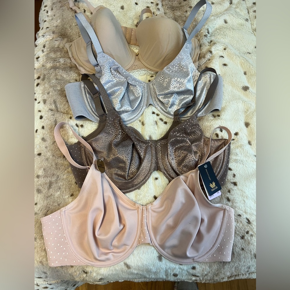 Wacoal Bras and Notari